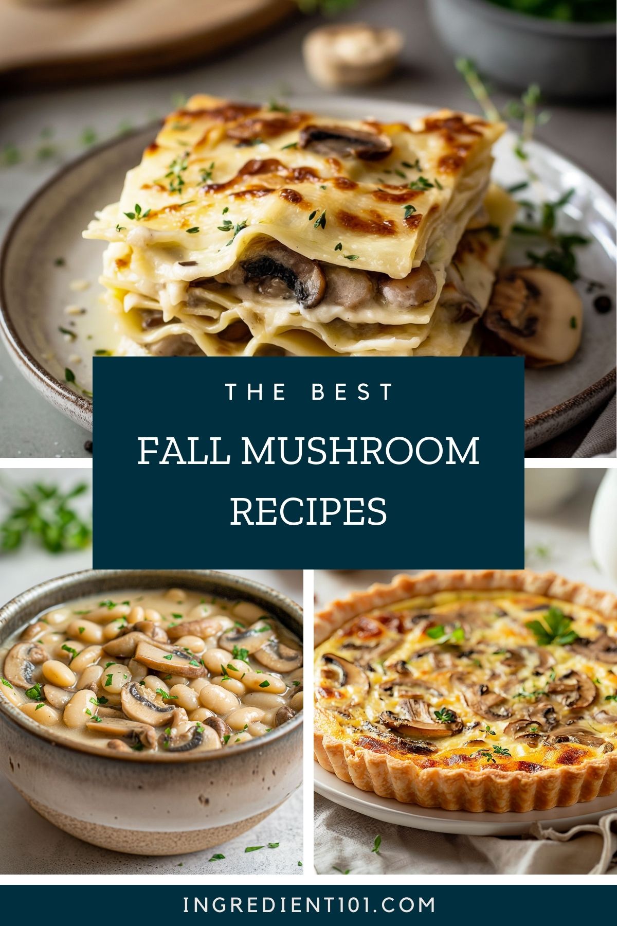 A collection of fall mushroom recipes including mushroom lasagna, white bean and mushroom stew, and mushroom quiche.